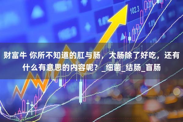 财富牛 你所不知道的肛与肠，大肠除了好吃，还有什么有意思的内容呢？_细菌_结肠_盲肠