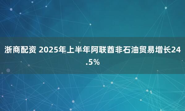 浙商配资 2025年上半年阿联酋非石油贸易增长24.5%