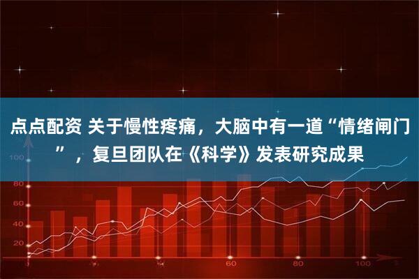 点点配资 关于慢性疼痛，大脑中有一道“情绪闸门” ，复旦团队在《科学》发表研究成果